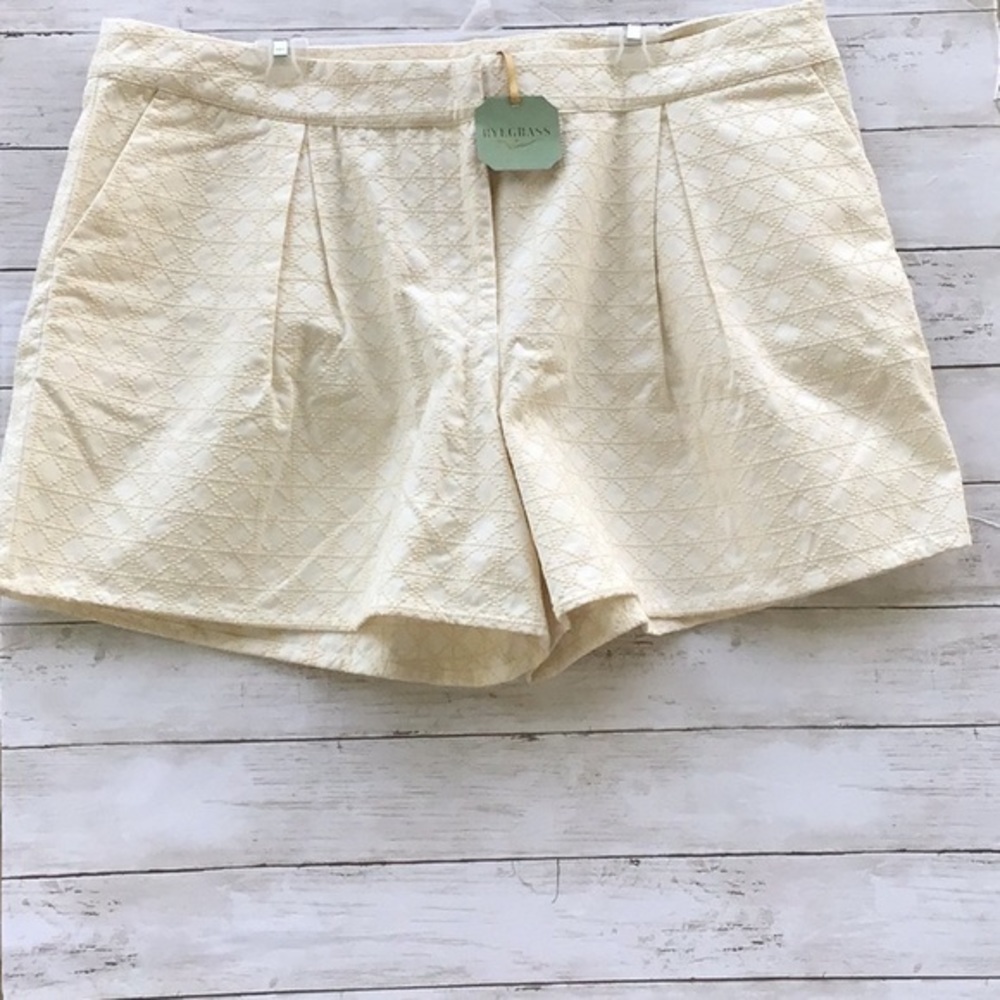 🌼 RYE‎ GRASS 100% Cotton Shorts. Size 20W